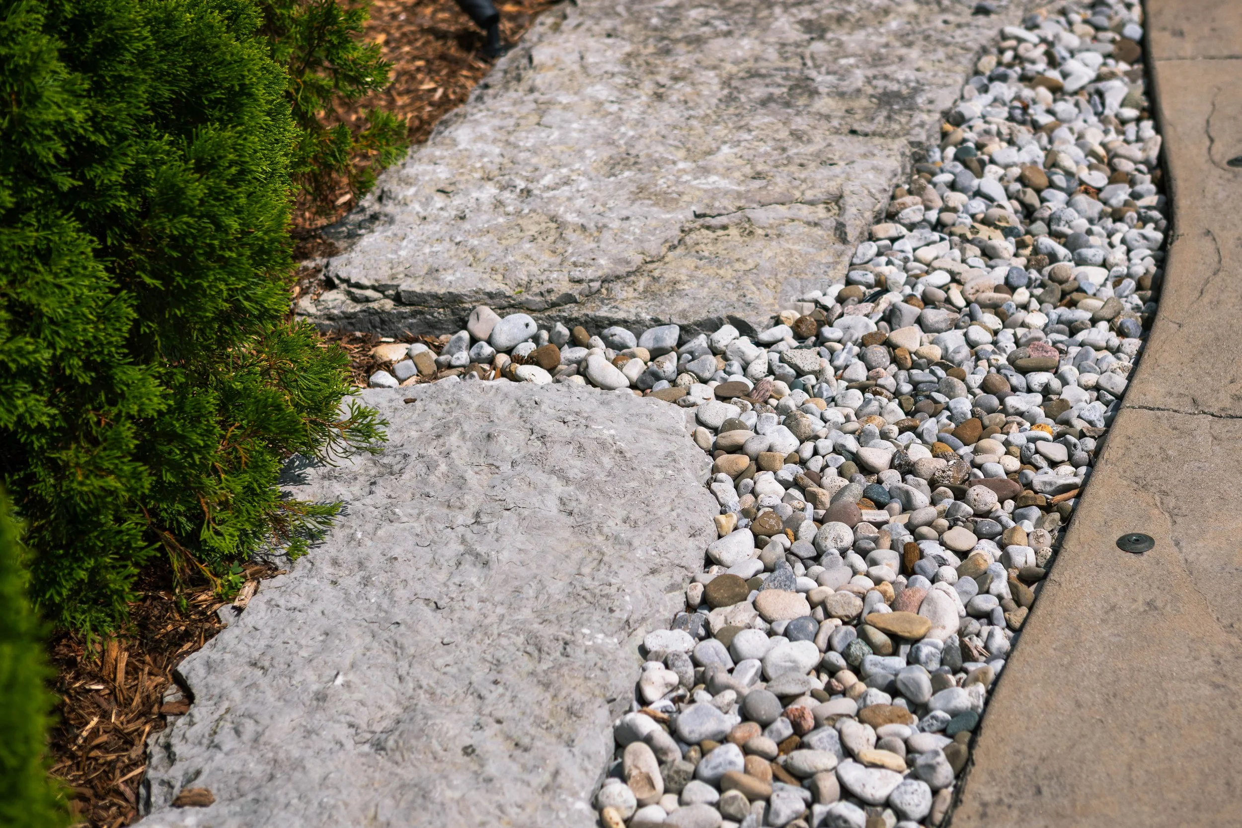AA2A0416.jpg
