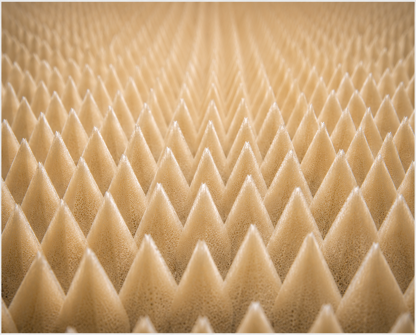 An anechoic chamber. Institute of DNA Science. Dr. Linda Ellison.