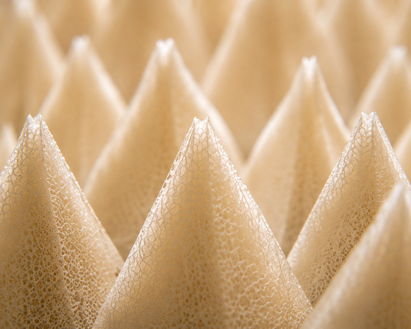 An anechoic chamber. Institute of DNA Science. Dr. Linda Ellison.