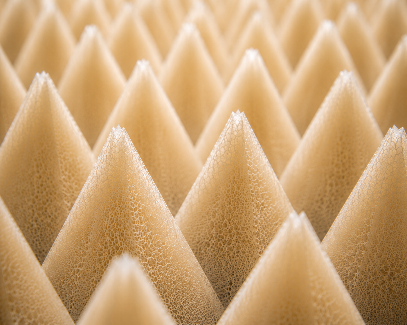 An anechoic chamber. Institute of DNA Science. Dr. Linda Ellison.