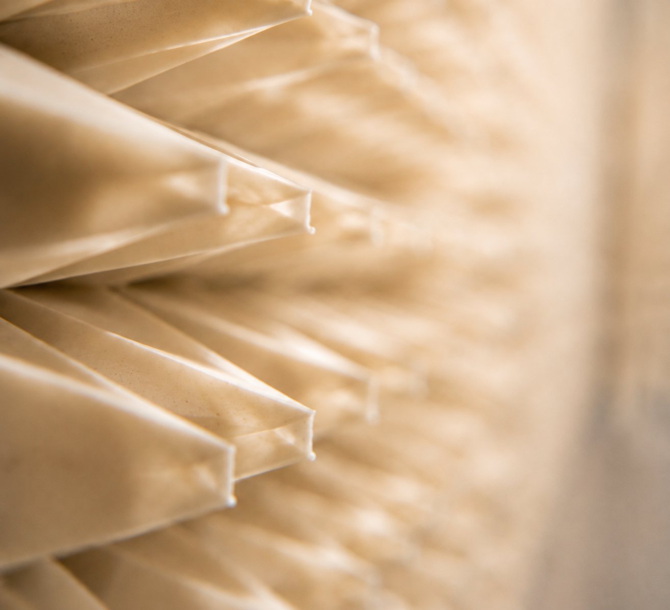 An anechoic chamber. Institute of DNA Science. Dr. Linda Ellison.