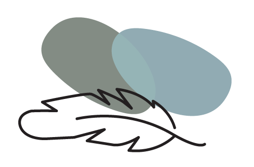Simple line drawing of a feather with two overlapping oval shapes above it in different shades of green and blue.