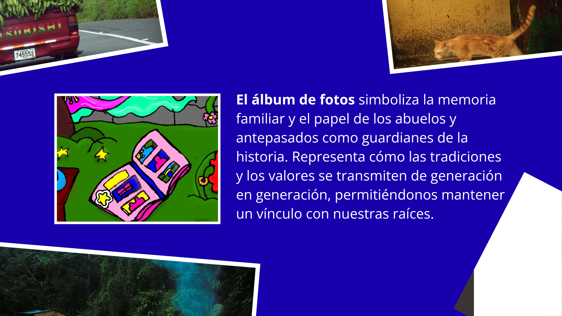 Fawn- Proceso Creativo Demencia11.png