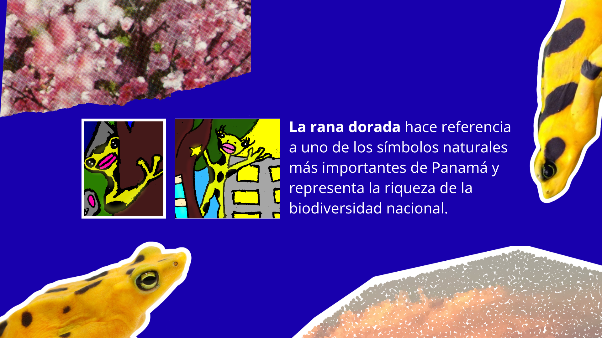 Fawn- Proceso Creativo Demencia12.png