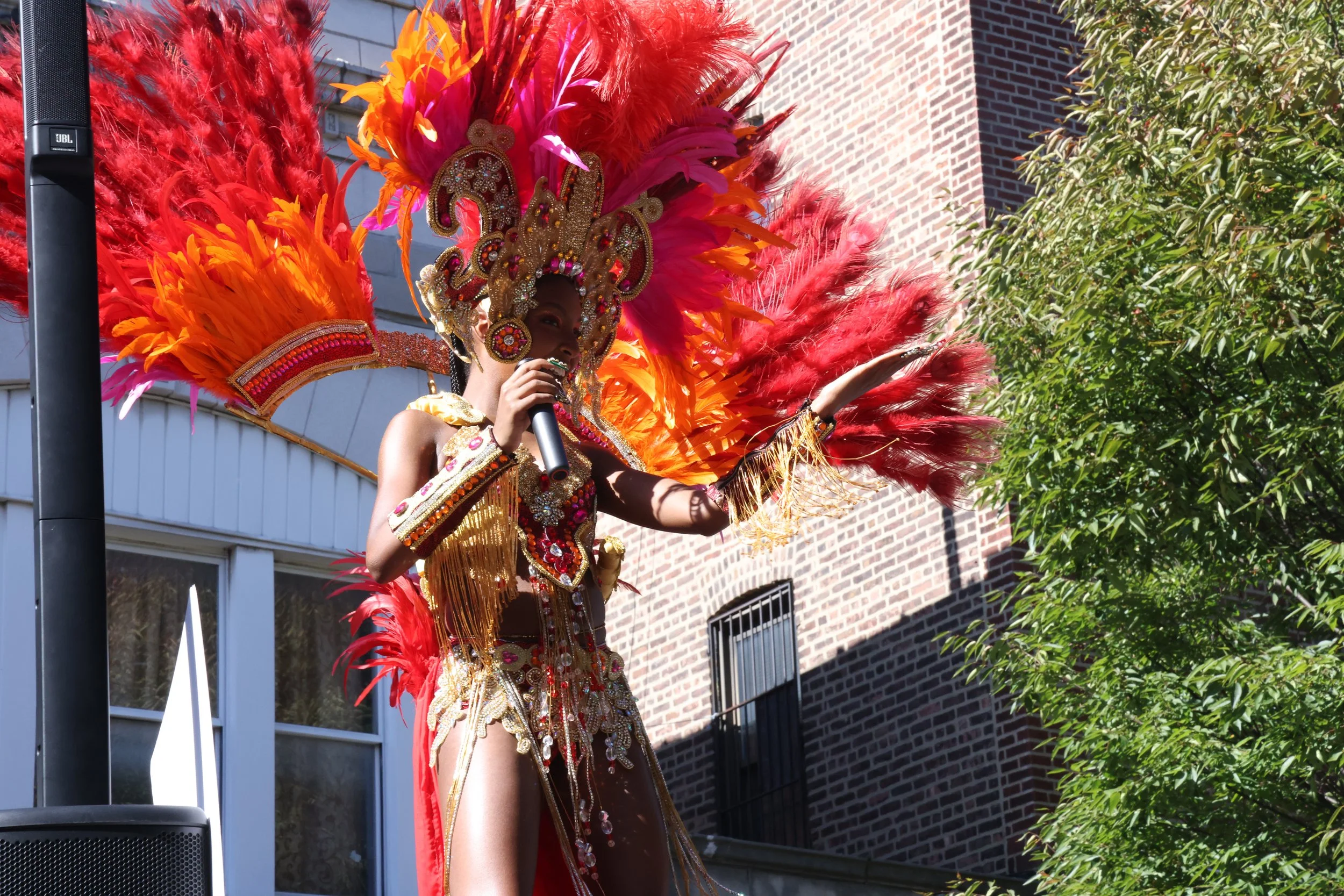 NYC Panamanian Parade | 2024