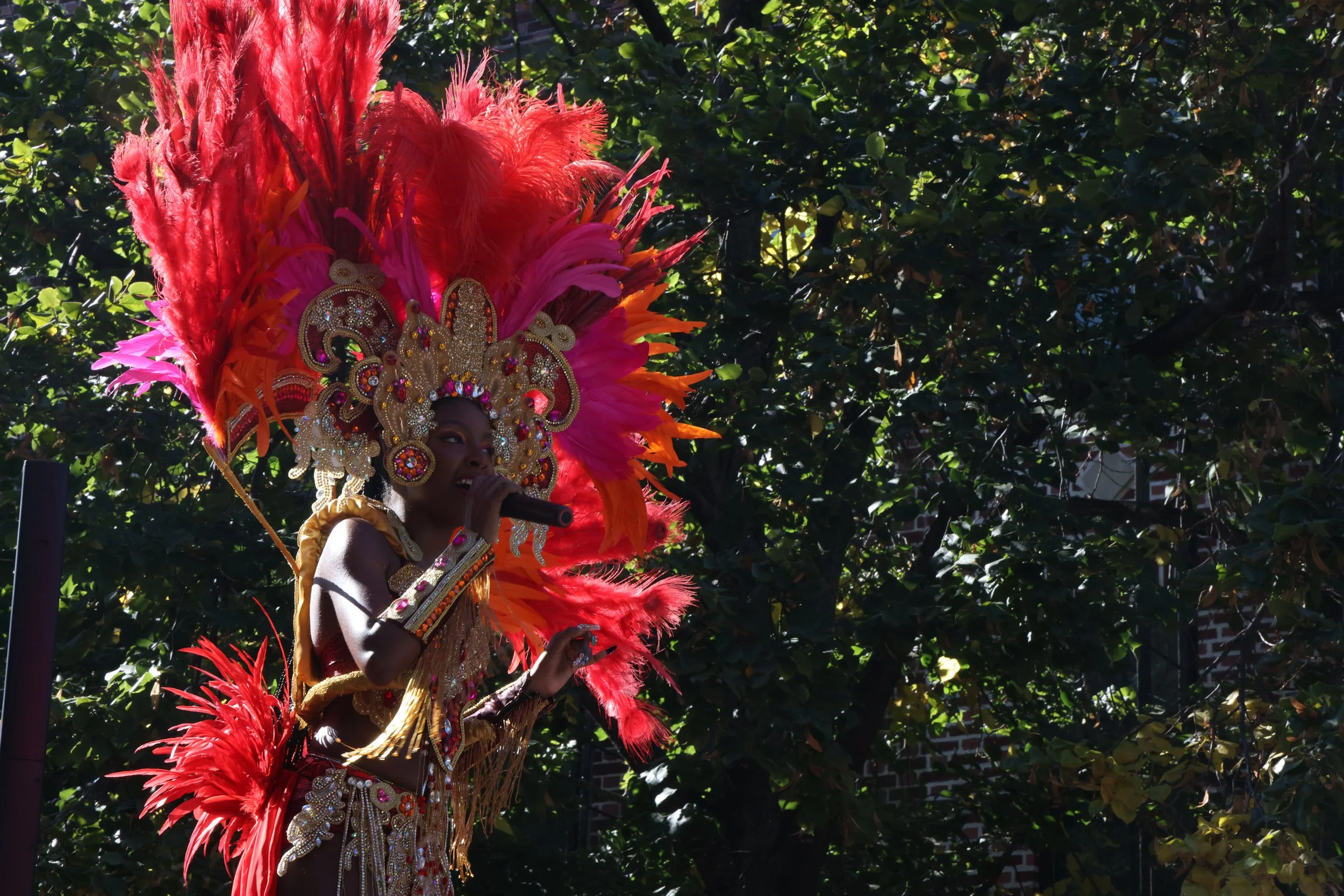 NYC Panamanian Parade '24-alessandra-clarke.JPG