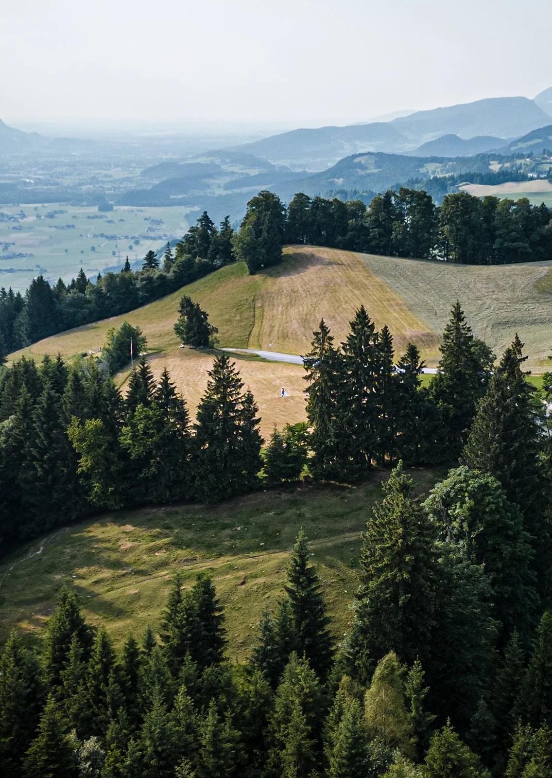 Landschaft mit Hügeln, Wäldern und Feldern, Blick in die Ferne auf weitere Hügel und Berge.
