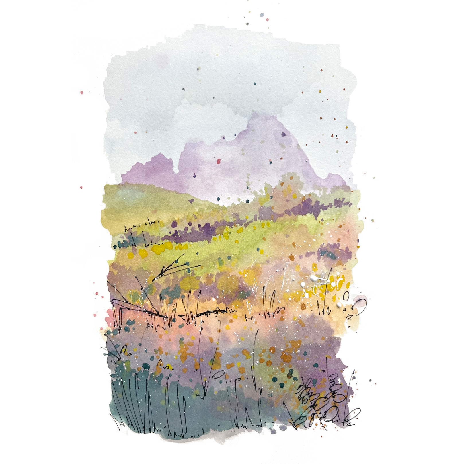 "Jonkershoek"  — watercolor and pen and ink on paper, 2024