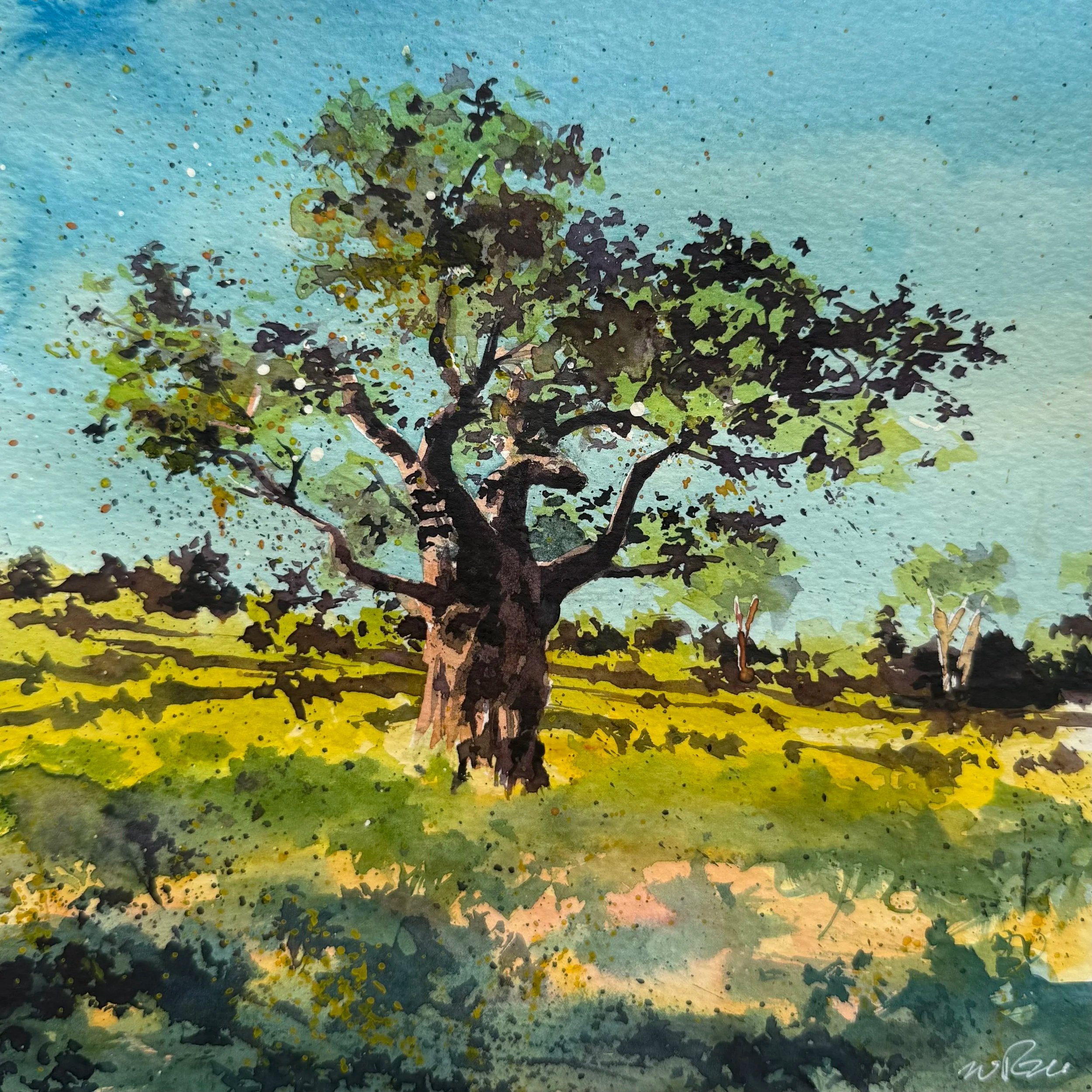 "Baobab at Sunrise" — watercolor on paper, 2026 (available)
