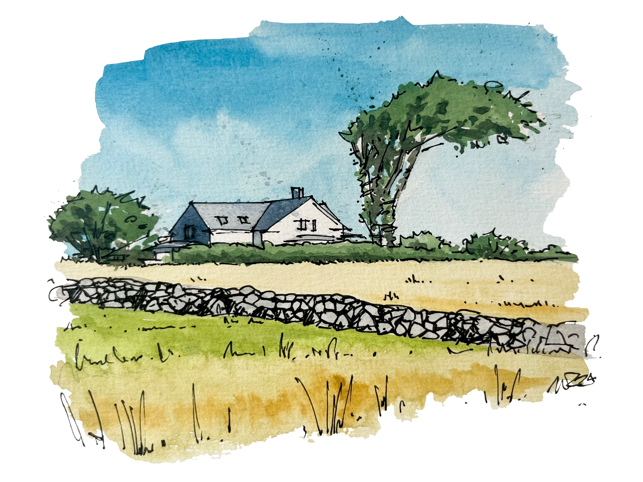 "Jones Farm" — watercolor and pen and ink on paper, 2024 (sold)