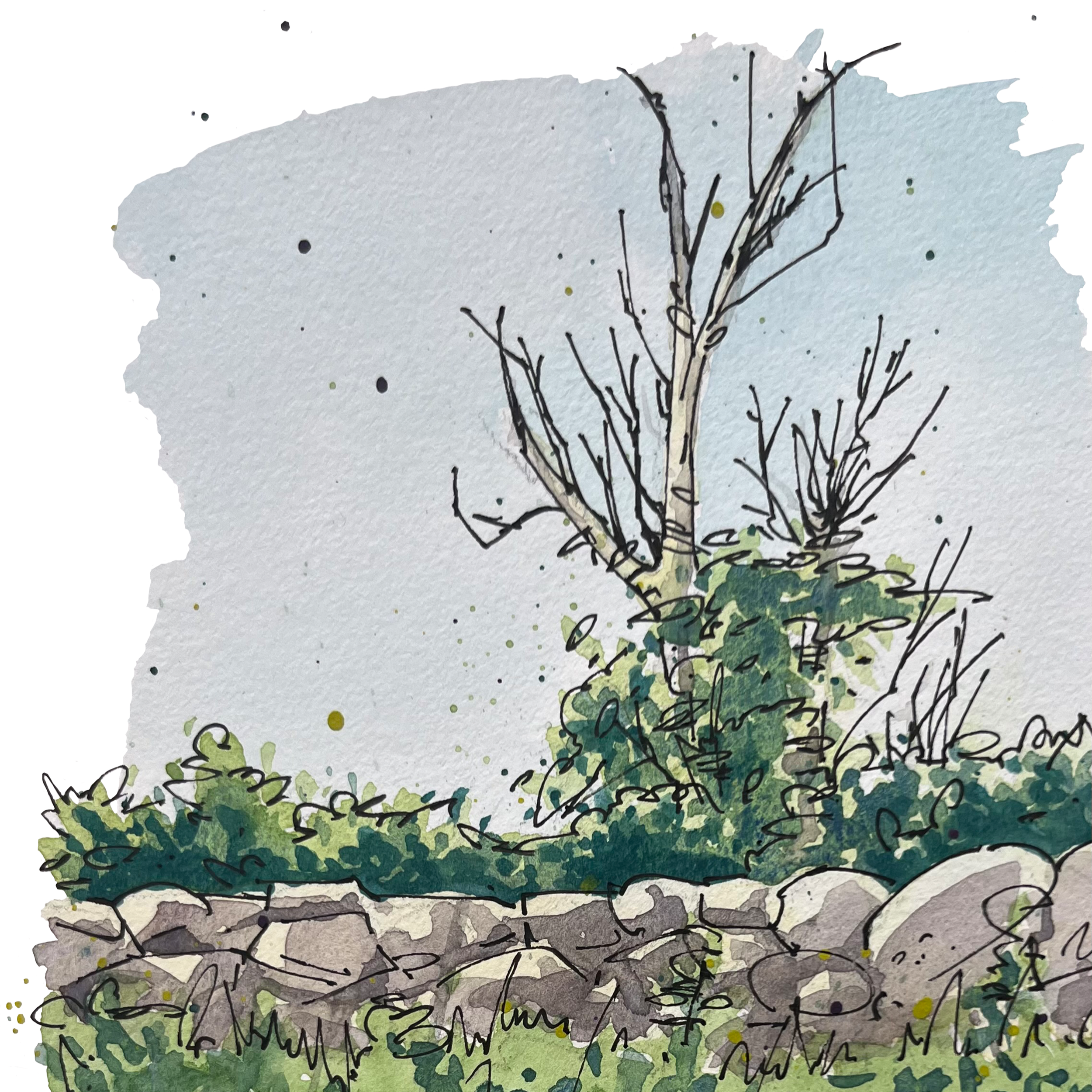 "A Stone Wall" — watercolor and pen and ink on paper, 2024 (sold)