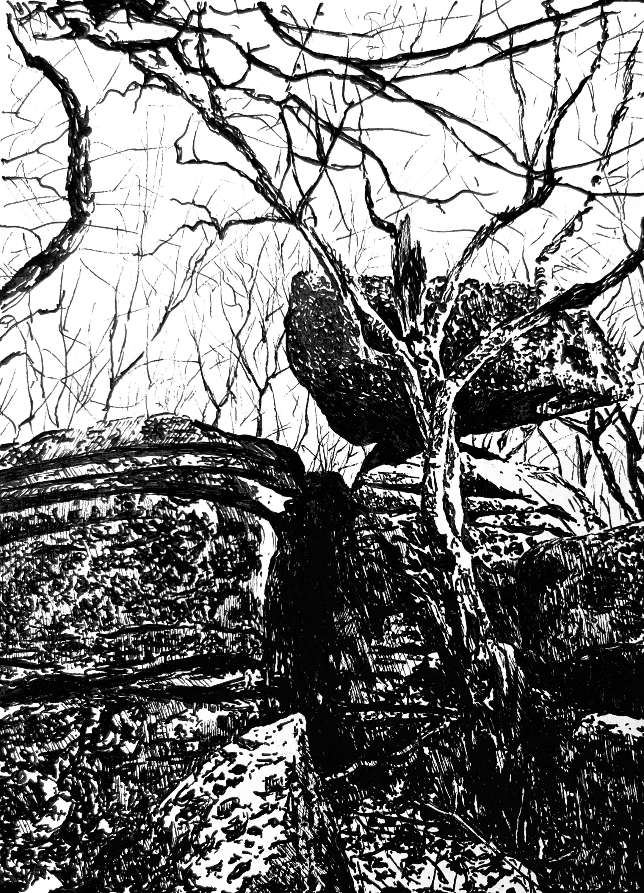 "Reconnoiter Rock" — pen and ink on paper, 2020