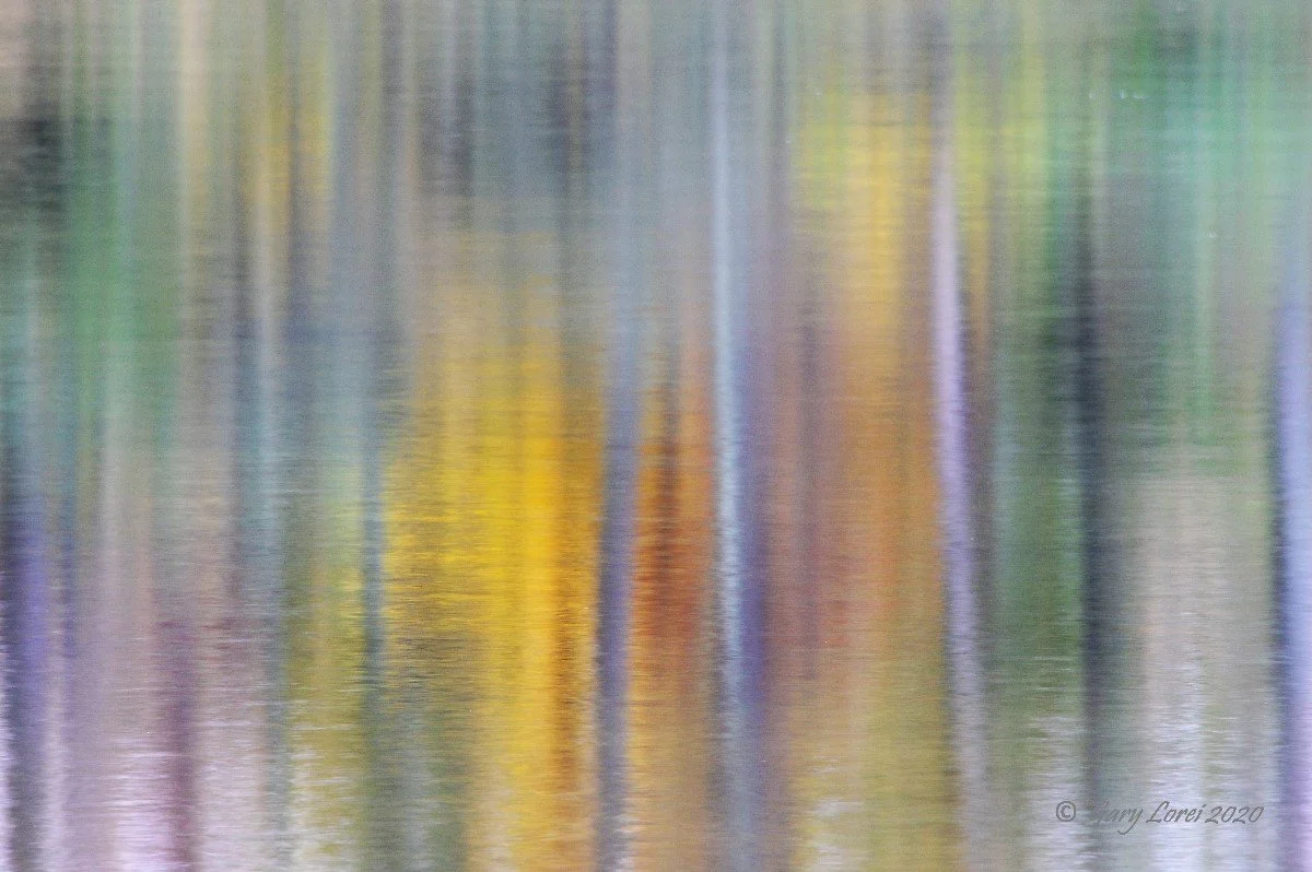 Fall Foliage Reflection  / Group C