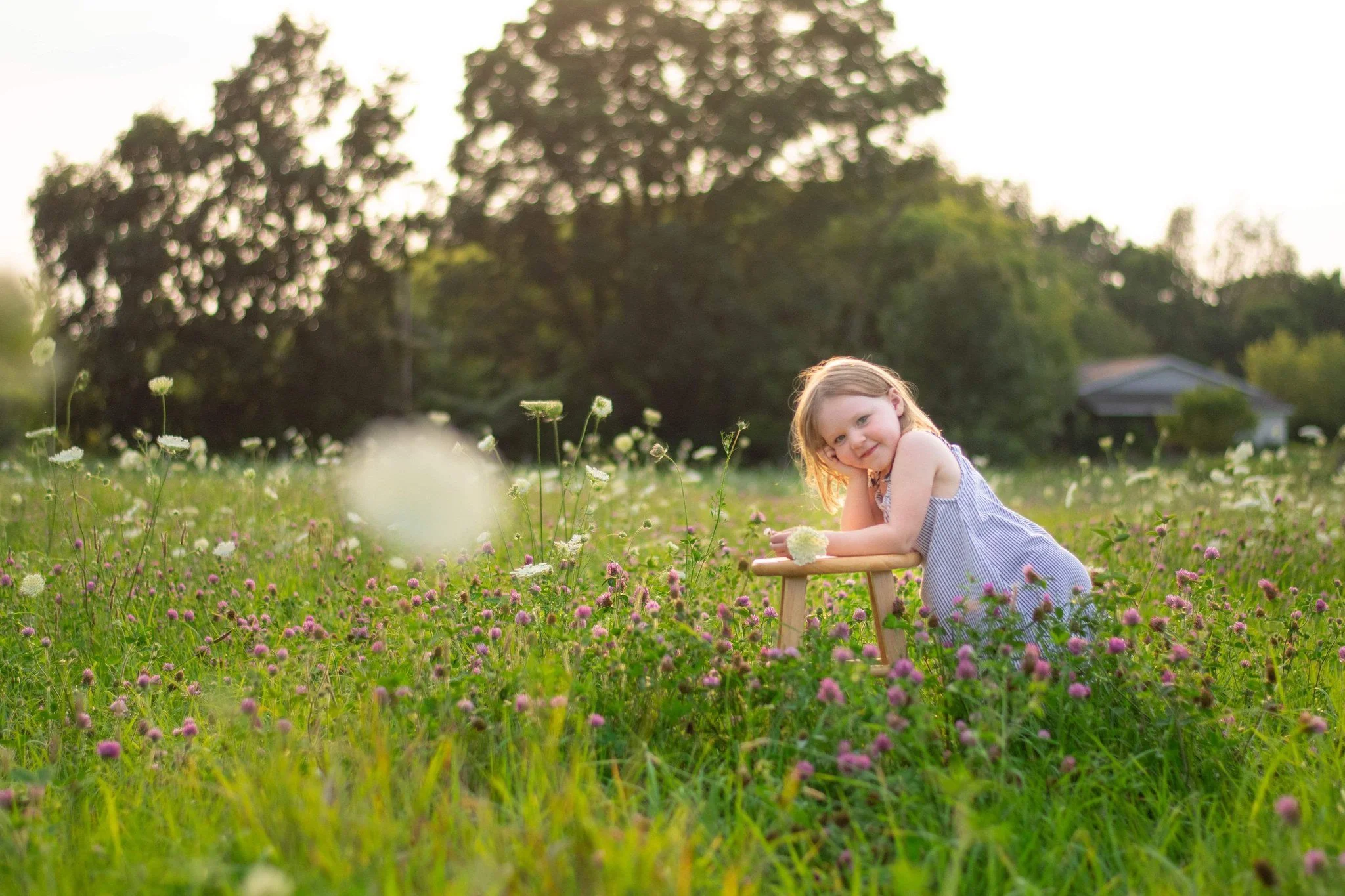 Golden hour family photography session in Chelsea, MI, child in a wildflower field