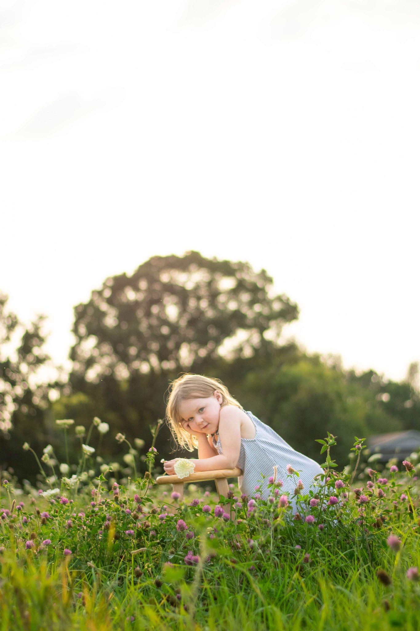 Golden hour portrait in a wildflower field, family photographer in Chelsea, MI