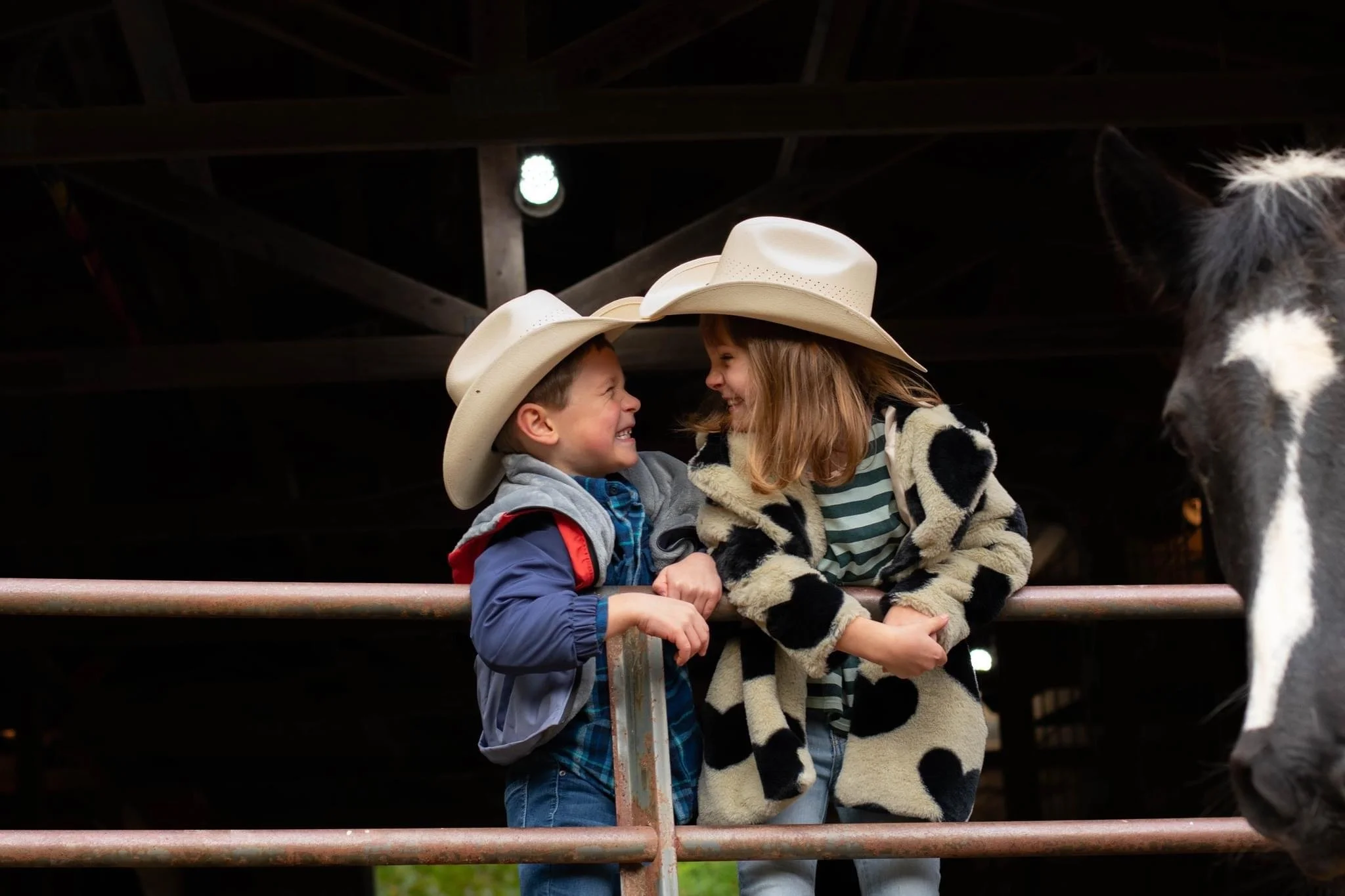 Siblings at the barn, family photographer in Chelsea, MI
