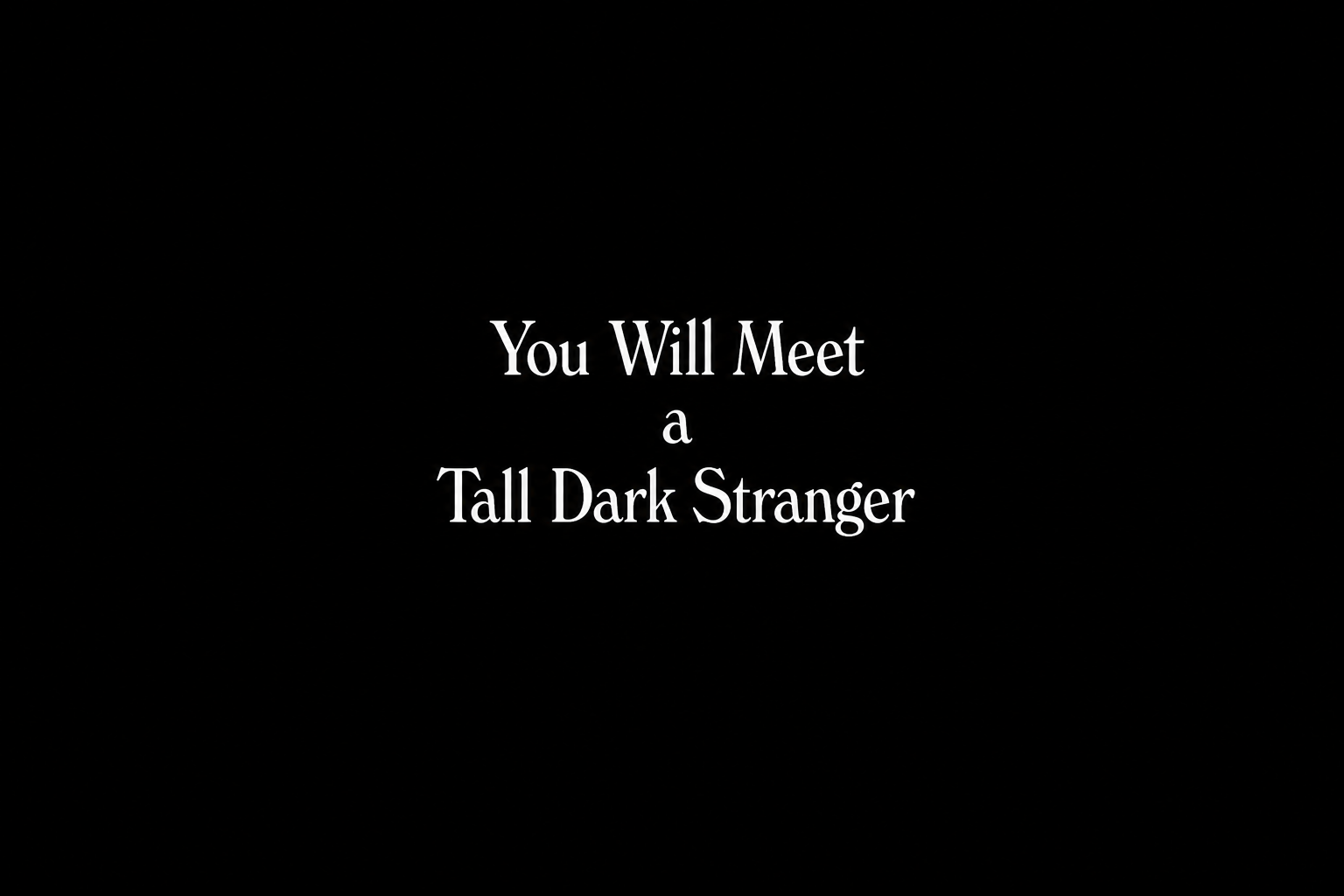 You Will Meet a Tall Dark Stranger (2010)
