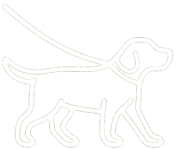 Outline of a dog on a black background with a leash.