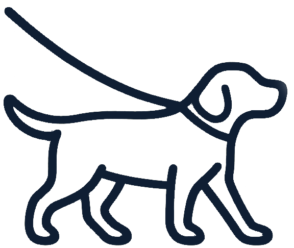 Line drawing of a dog with a long tail and floppy ears.