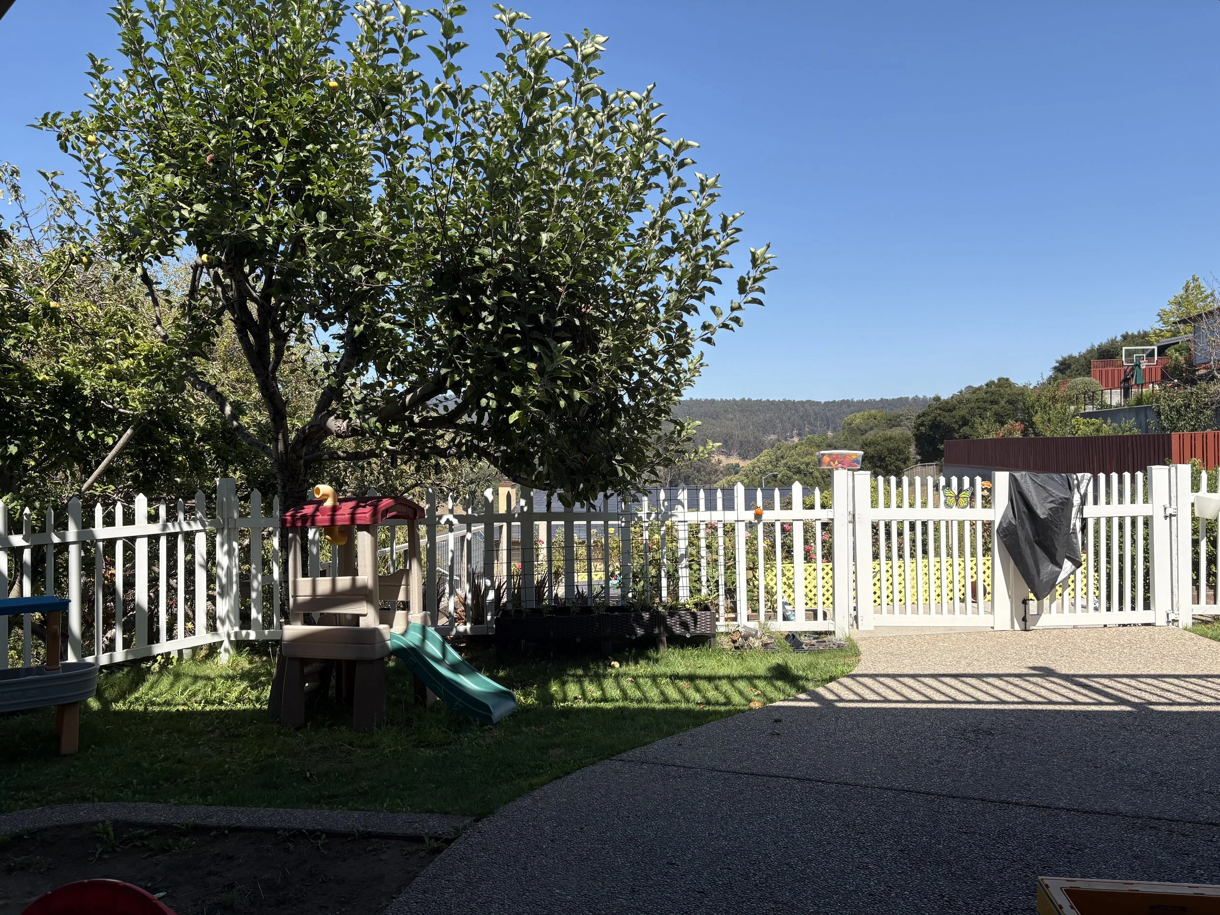 IMG_1026.jpeg