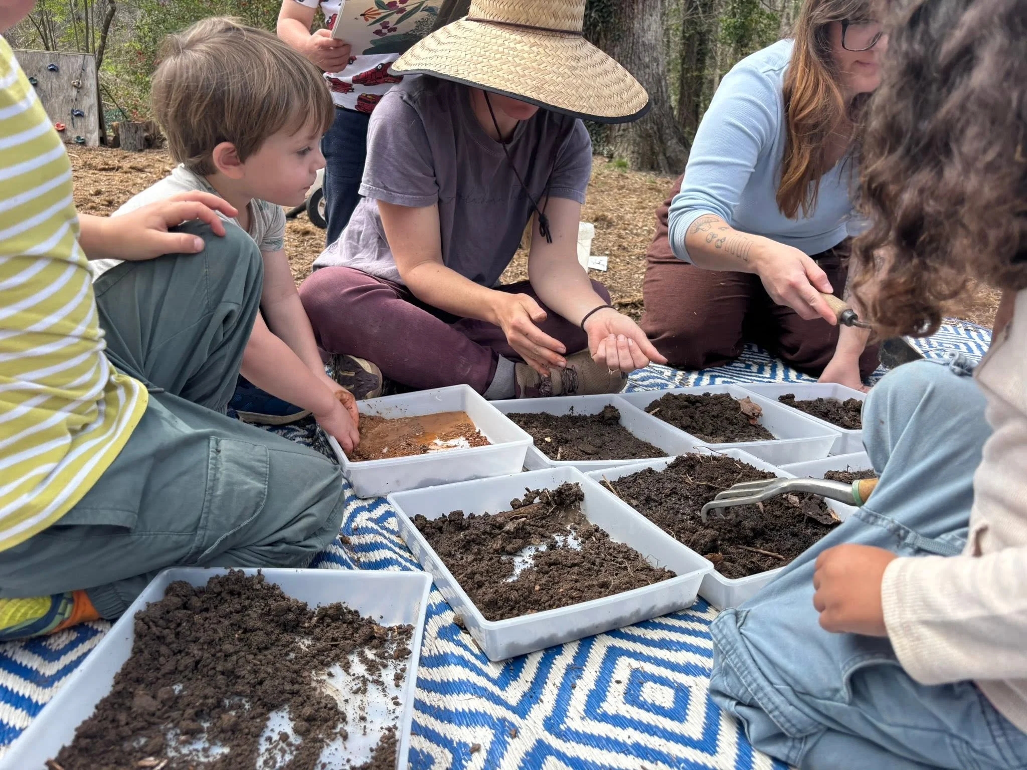 soil.jpg