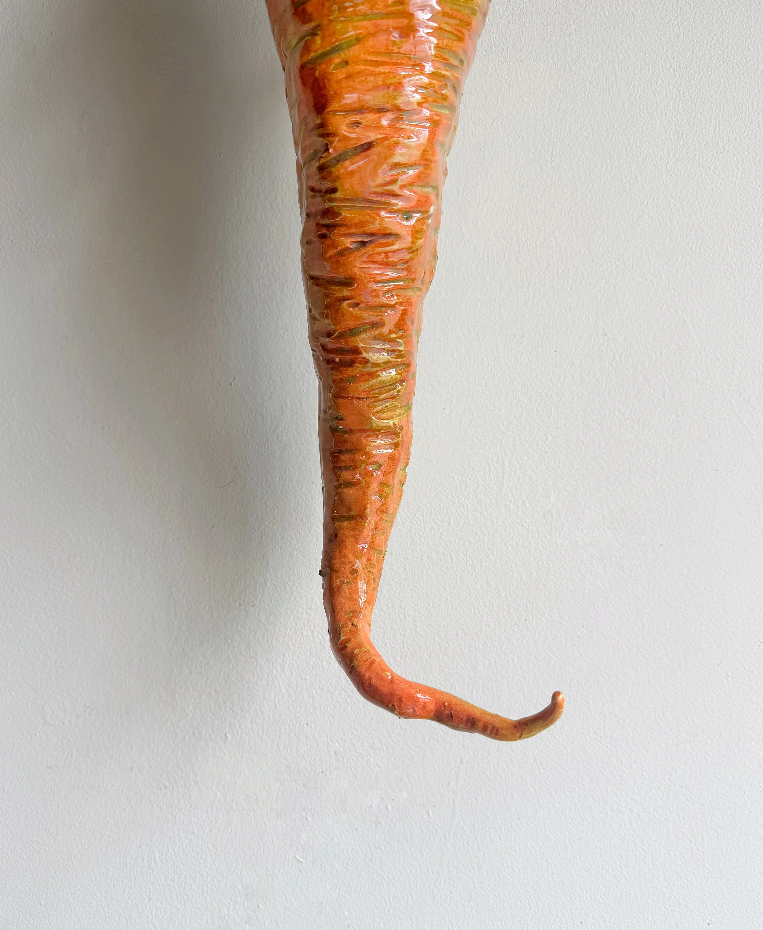 PINNA_Carrot3.jpg