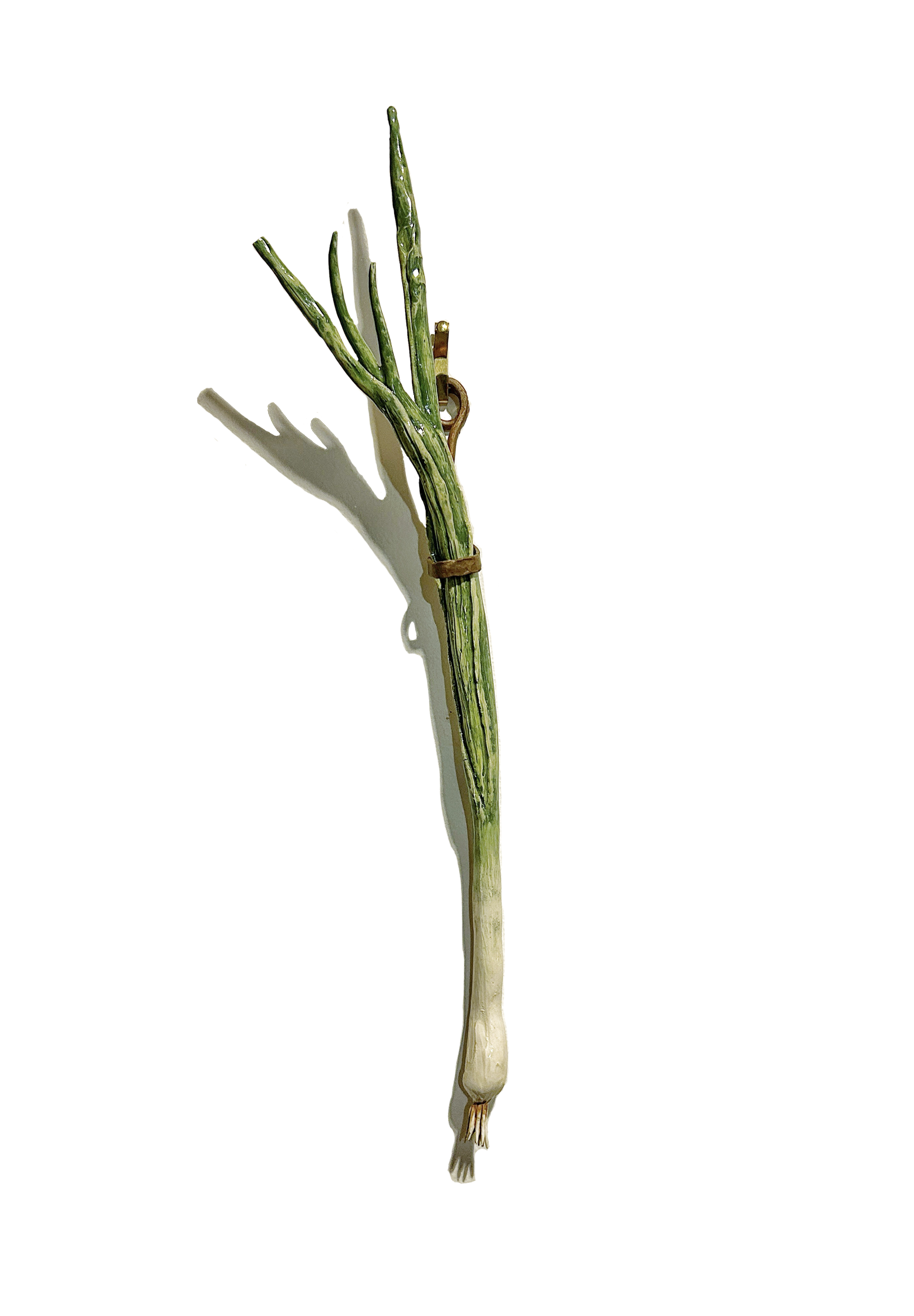 Close-up of a fresh green sprouting plant, with a droplet of water at the top and a shadow cast on a white background.