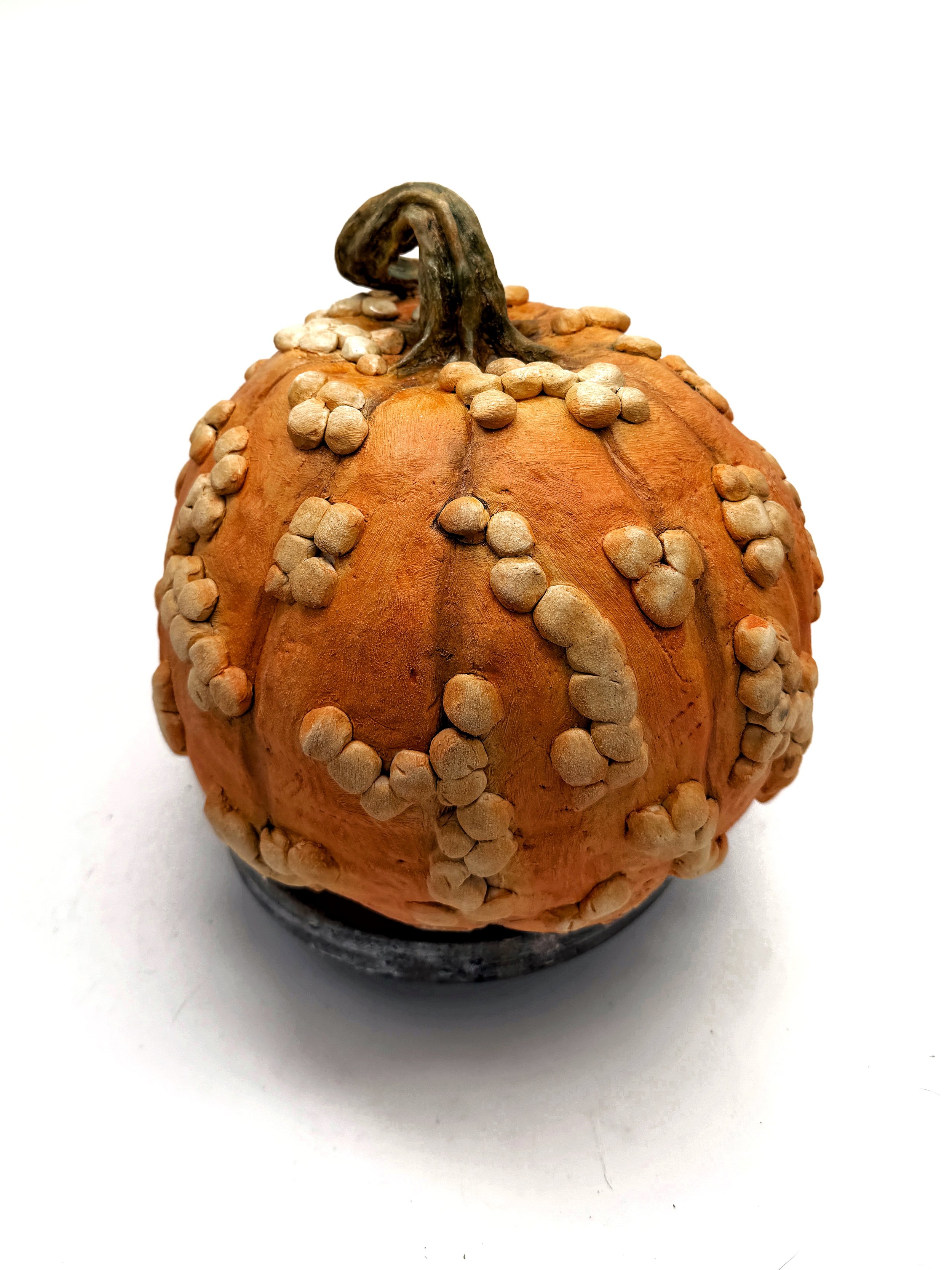 PINNA_Pumpkin2.jpg