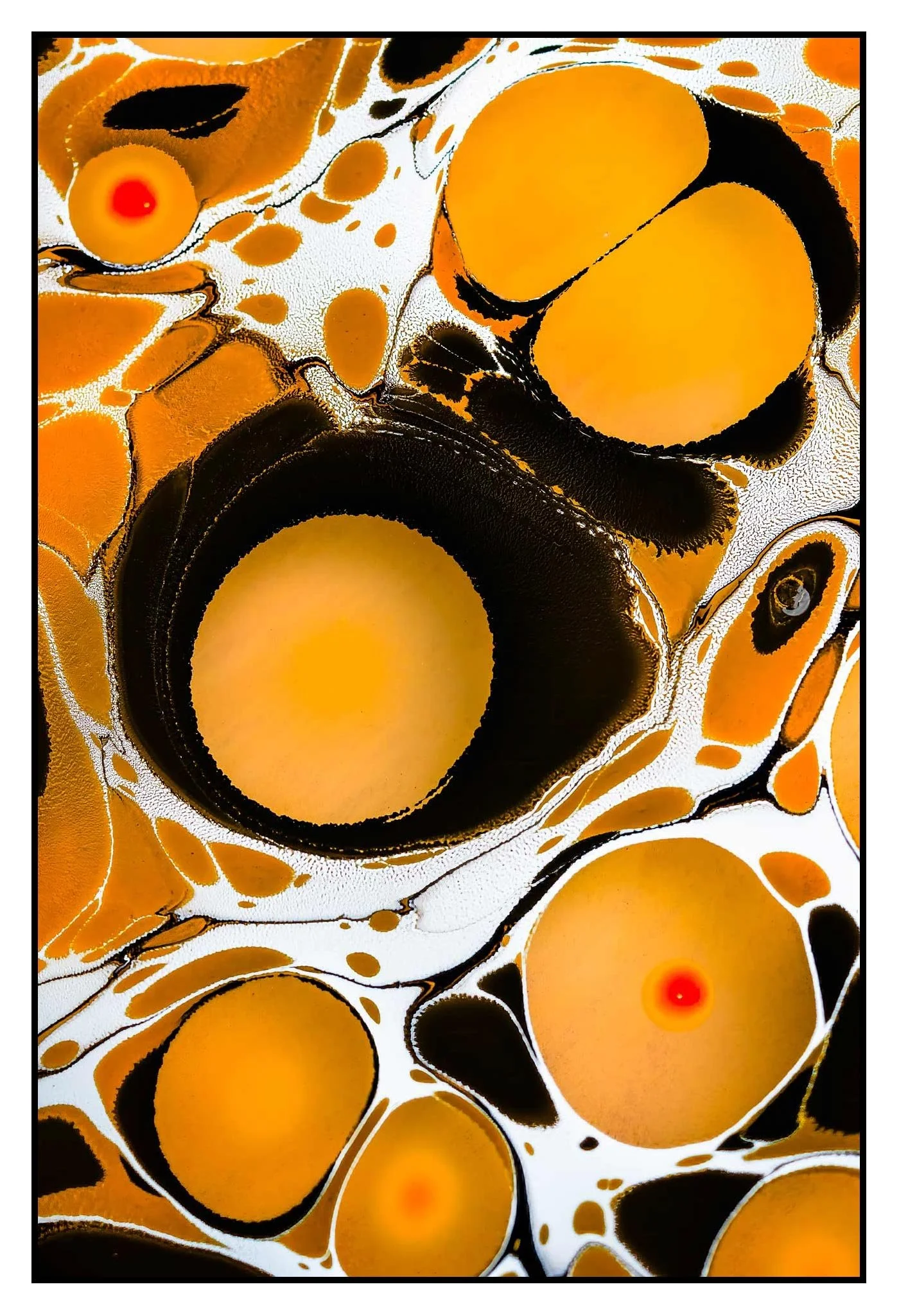 Mango Madness