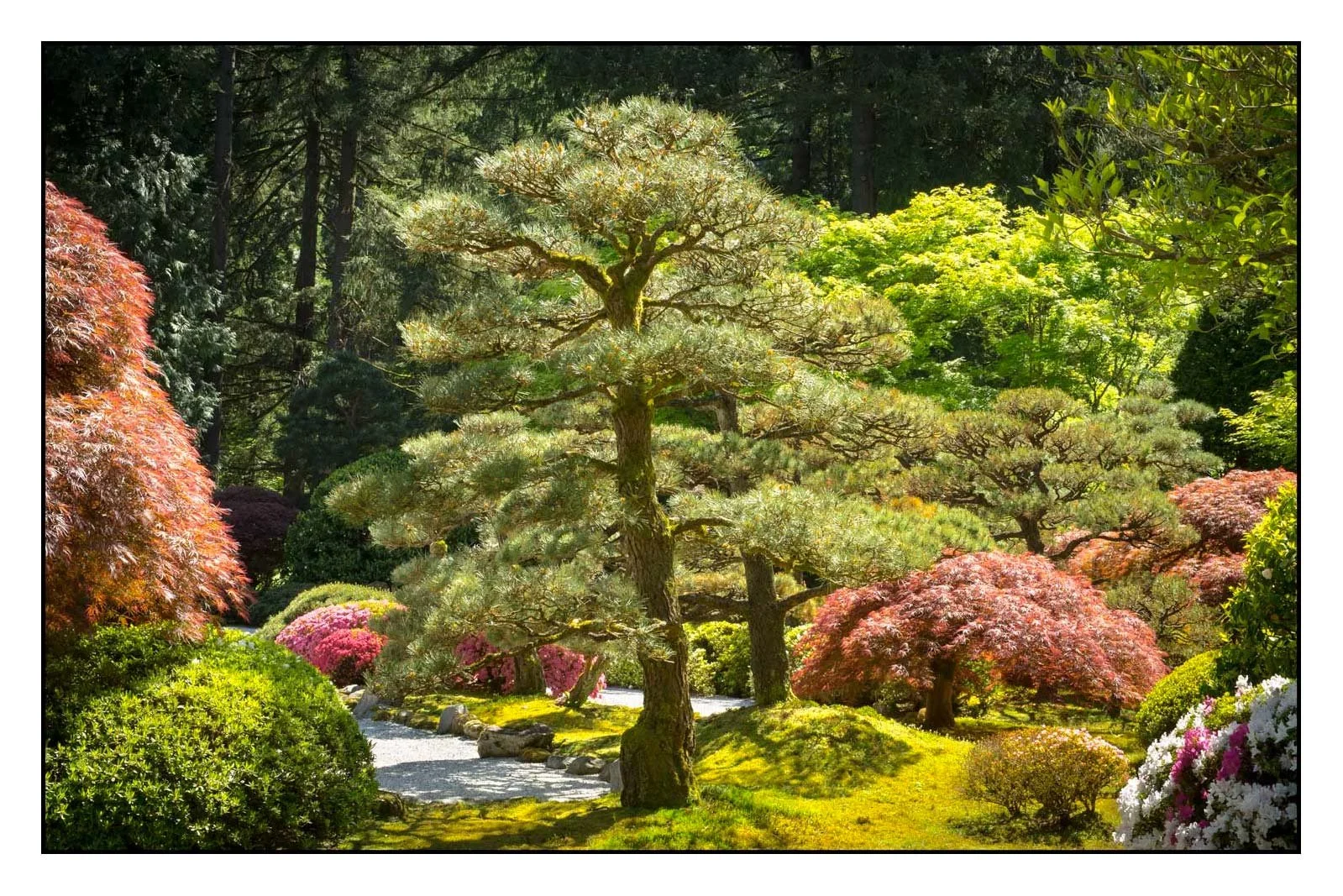 Landscape Japanese Garden, Portland