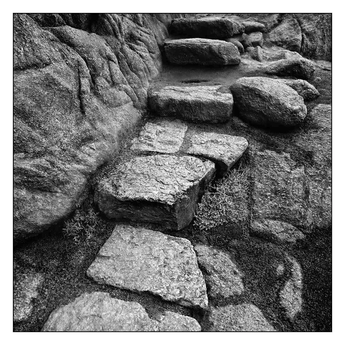 Stone Steps, Point Lobos, California