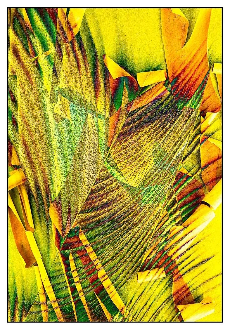 Tropical Vision
