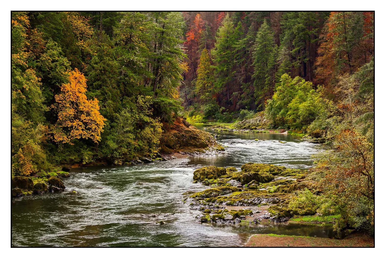 North Umpqua River, Oregon
