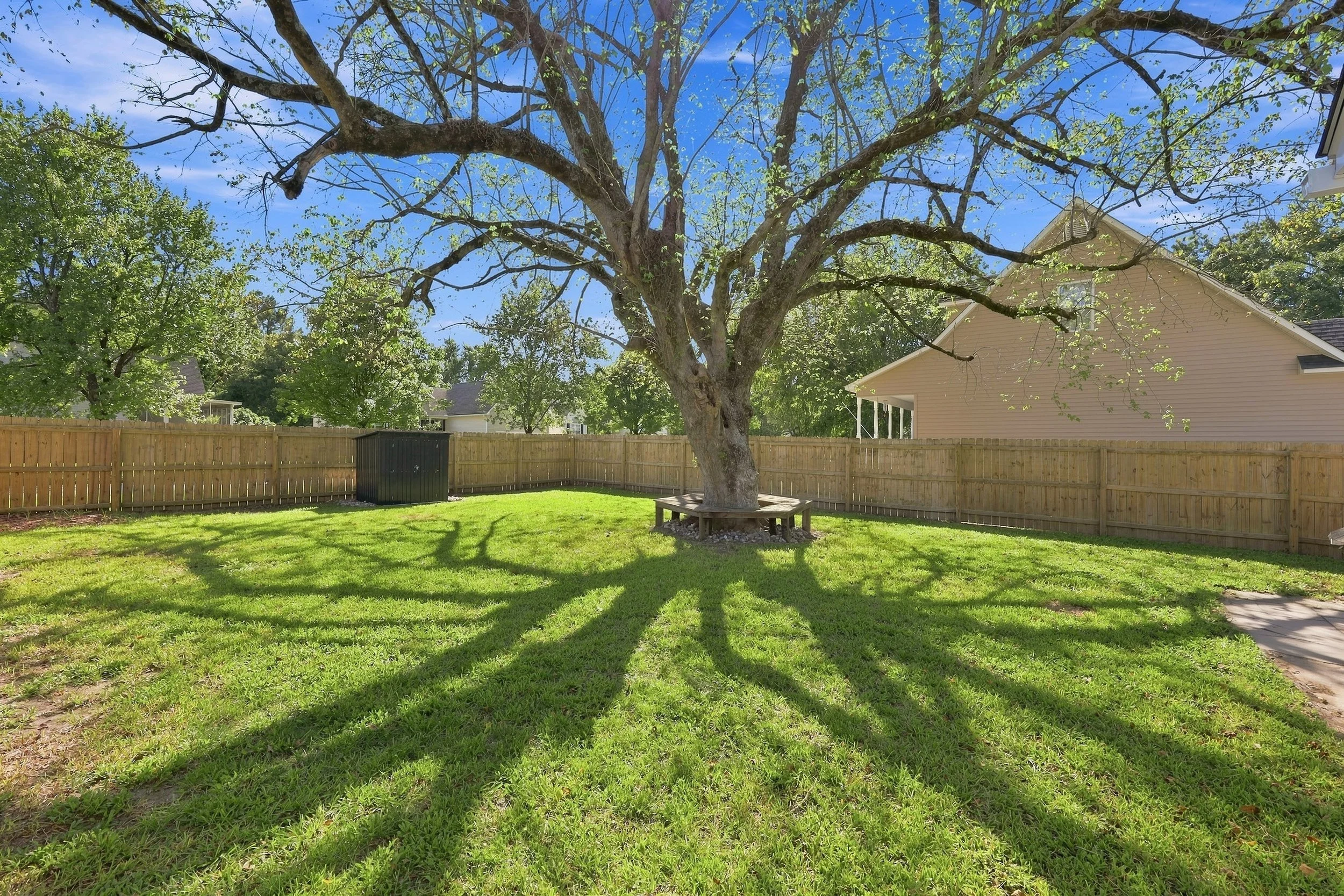 A backyard with a large tree at the center, surrounded by a wooden fence, green grass, and a house in the background under a blue sky with some clouds.