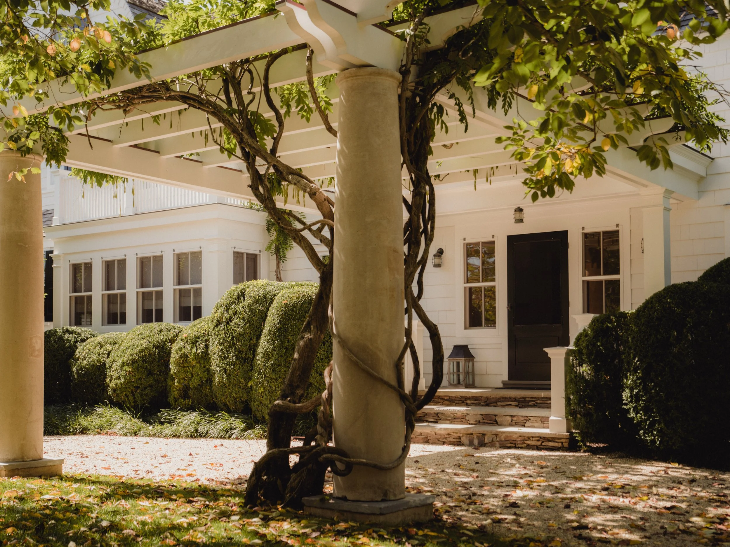 A corner of a house with white siding and black front door, surrounded by manicured bushes and trees, with a pergola overhead covered in climbing plants and leaves.