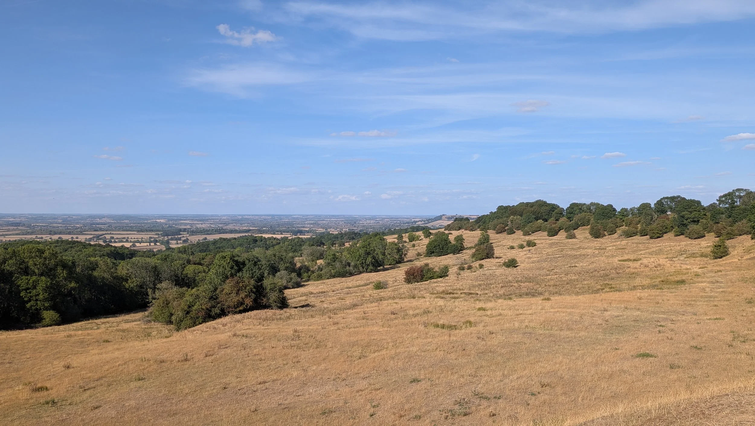 Scenic landscape featuring rolling hills with dry grass, clusters of green trees, and a partly cloudy blue sky.