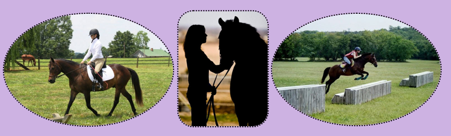 Yoga for Equestrians