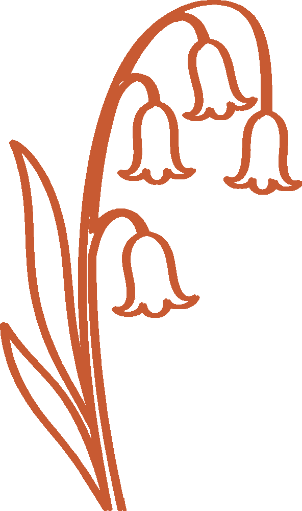 Outline drawing of a bunch of lily of the valley flowers with elongated leaves in brown color.