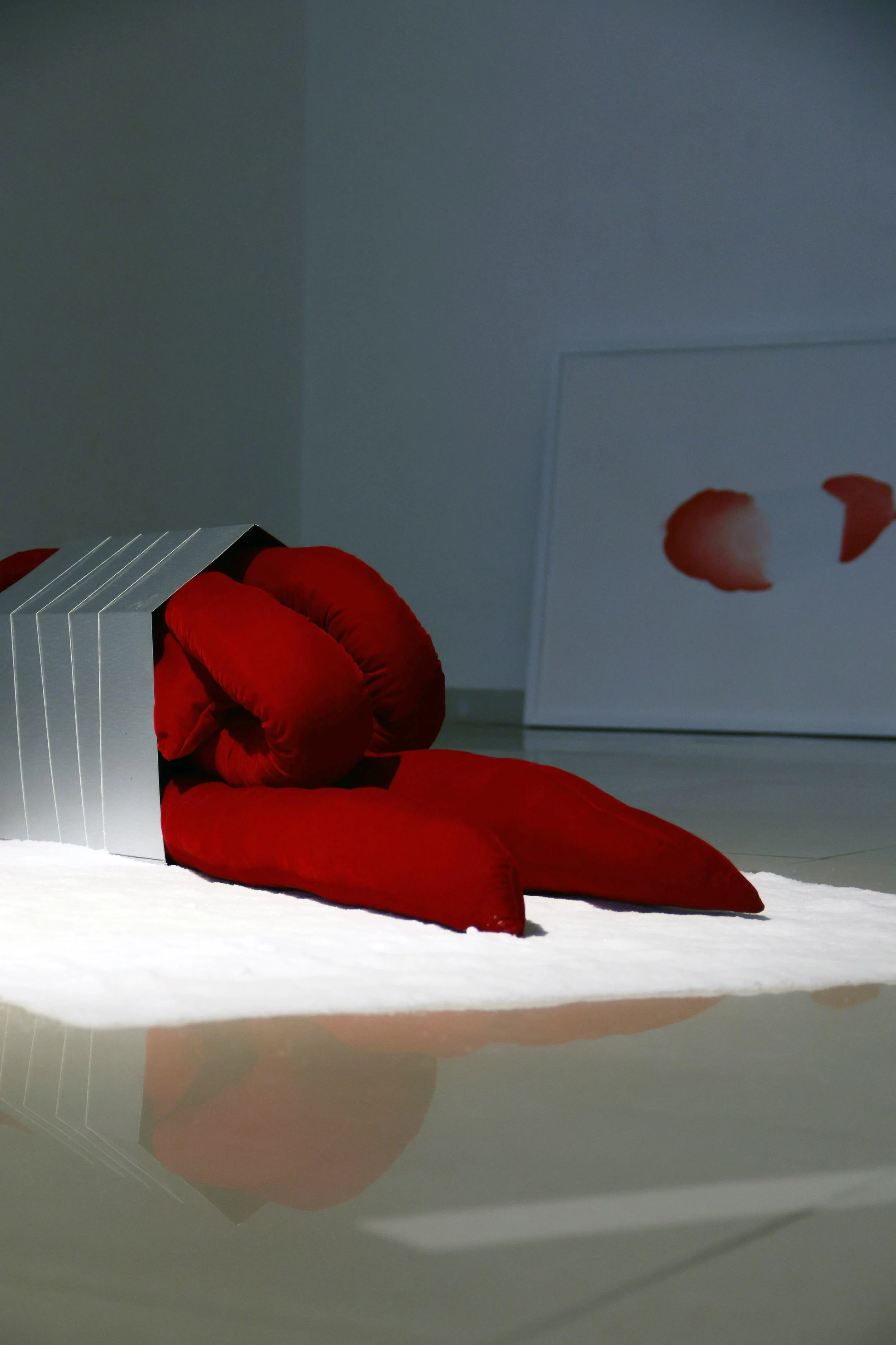 Details of an art installation featuring a body-like structure in red on a bed of salt. The background is a minimalist white room or art gallery.