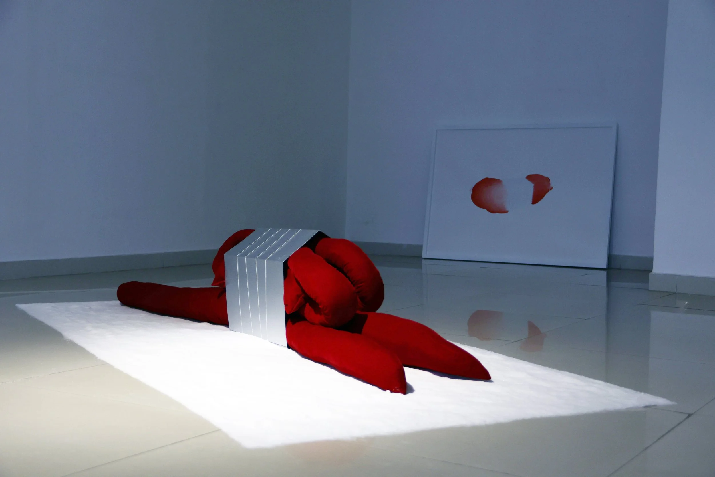 An art installation featuring a body-like structure in red on a bed of salt. The background is a minimalist white room or art gallery.