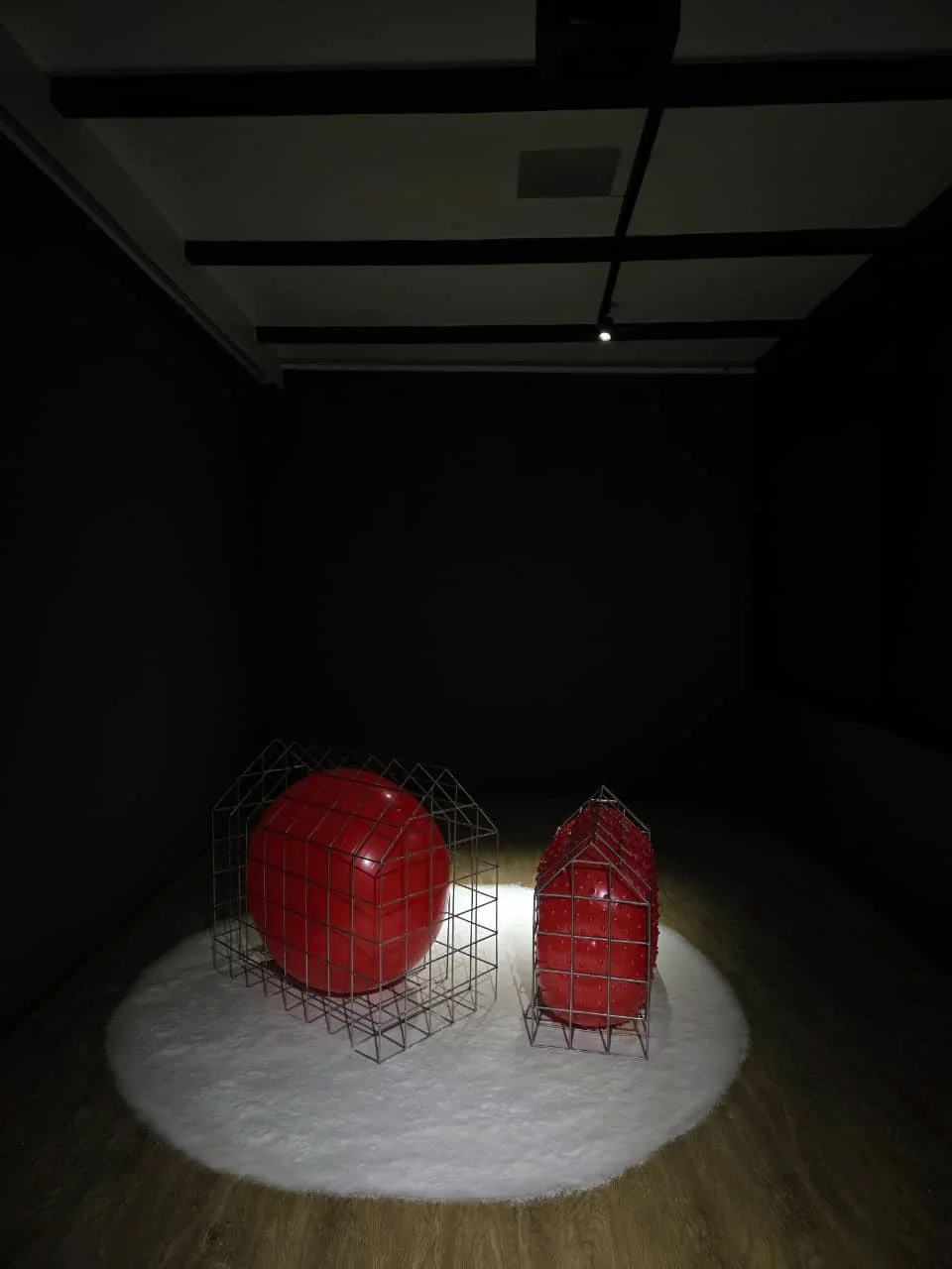 Two red sculptures resembling apples or tomatoes, encased in wireframe structures, displayed on a white circular rug in a dark room with ceiling lights