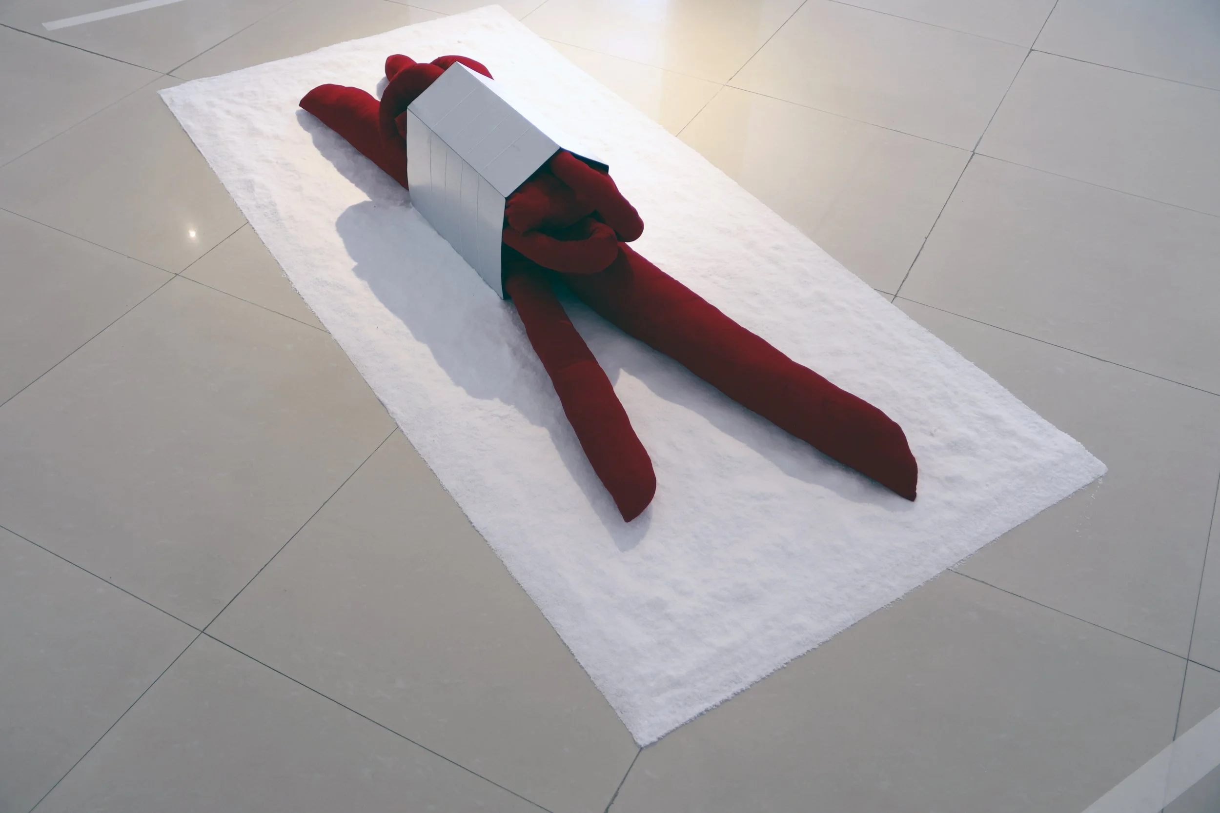 An art installation featuring a body-like structure in red on a bed of salt. The background is a minimalist white room or art gallery.