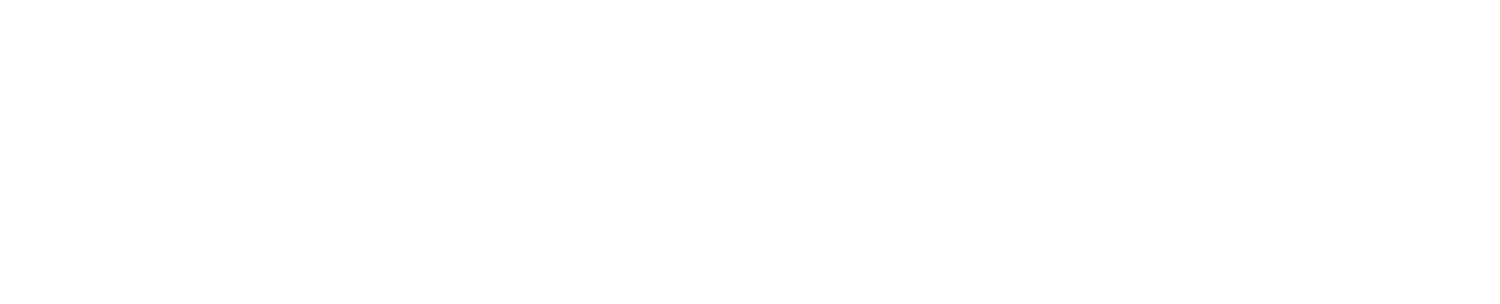 Young Clergy Women International