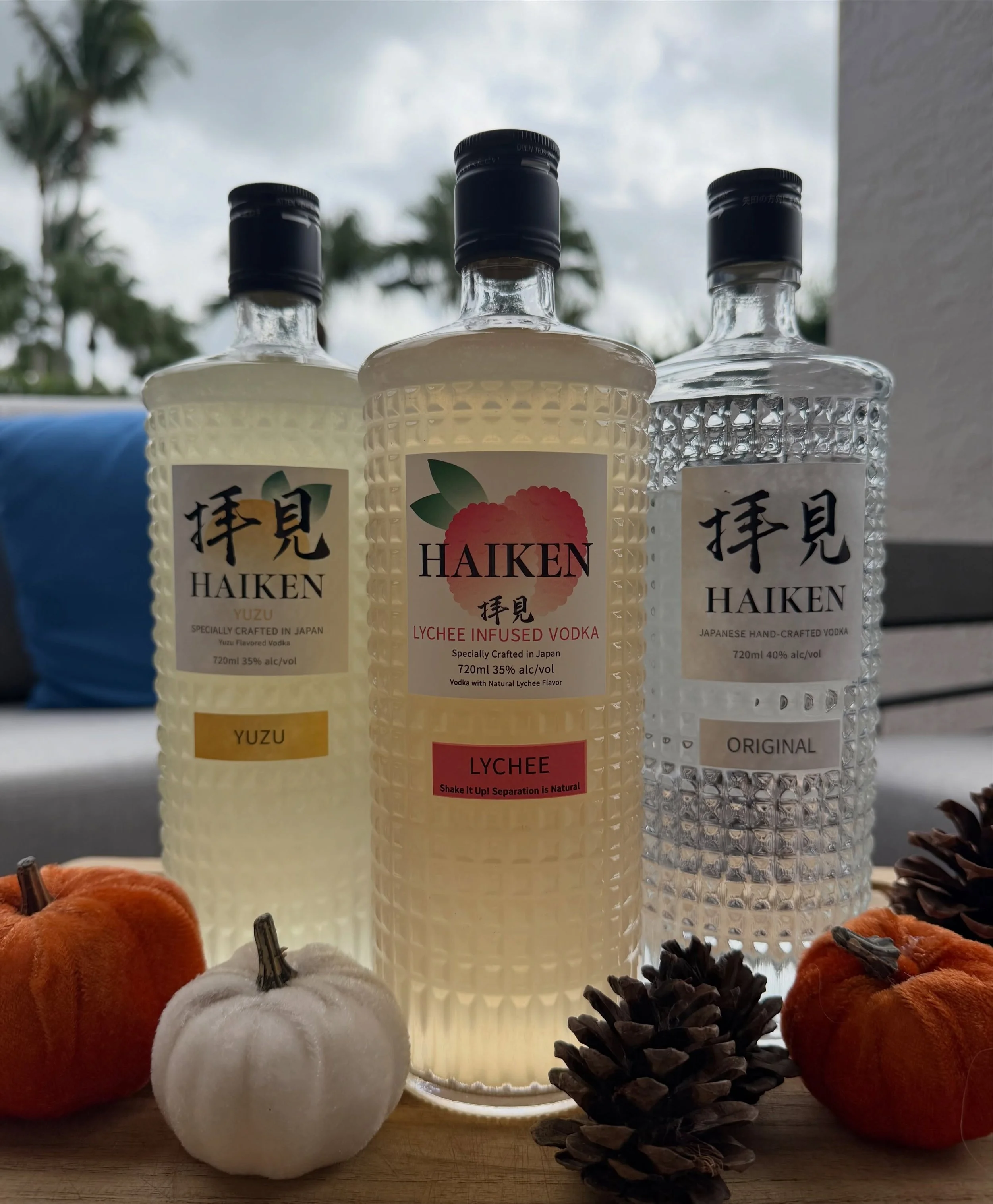 Fall looks better with HAIKEN in the picture. 🍂🍸

#haikenvodka #lychee #yuzu