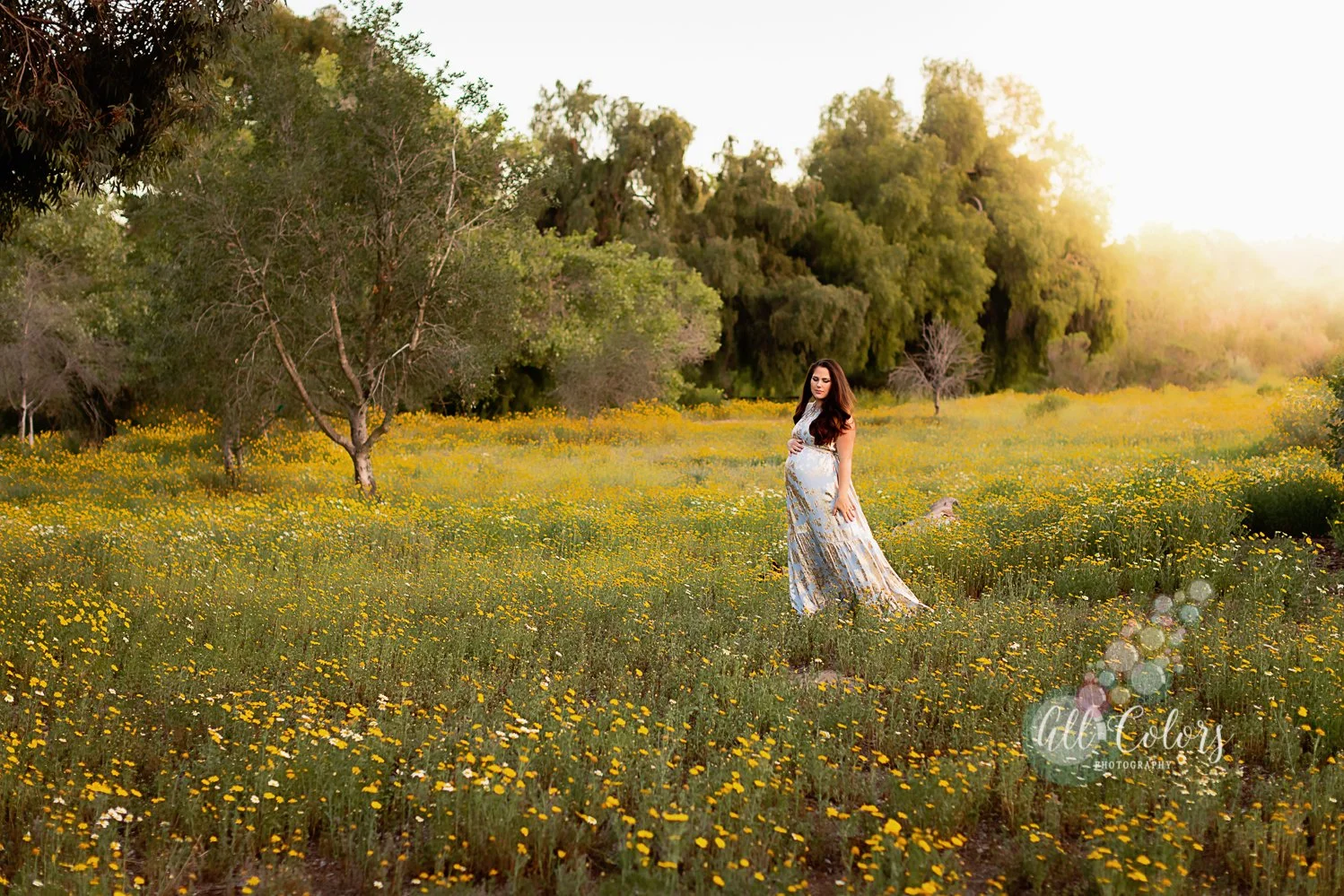 Maternity Photography
