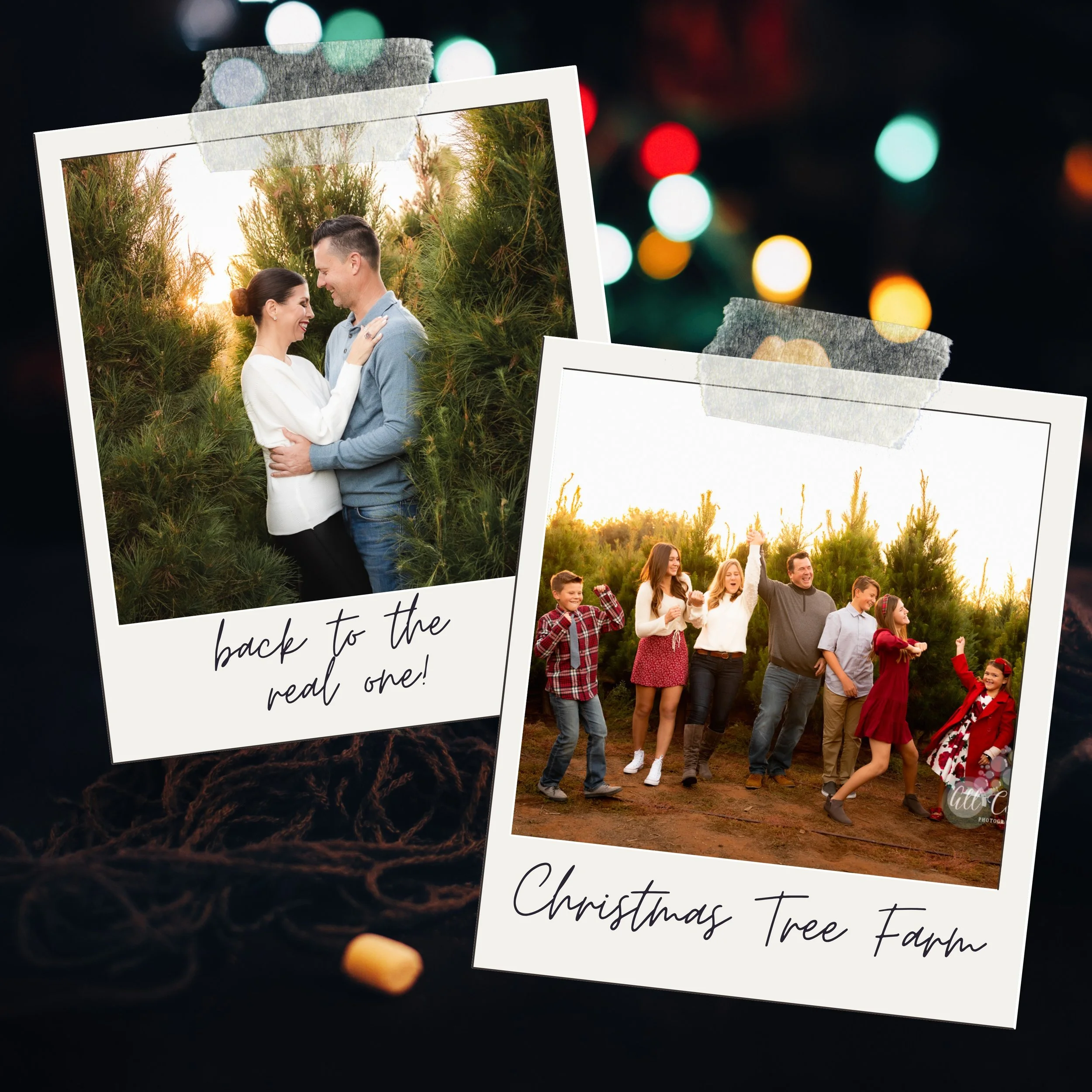 Photos of families at a Christmas Tree Farm