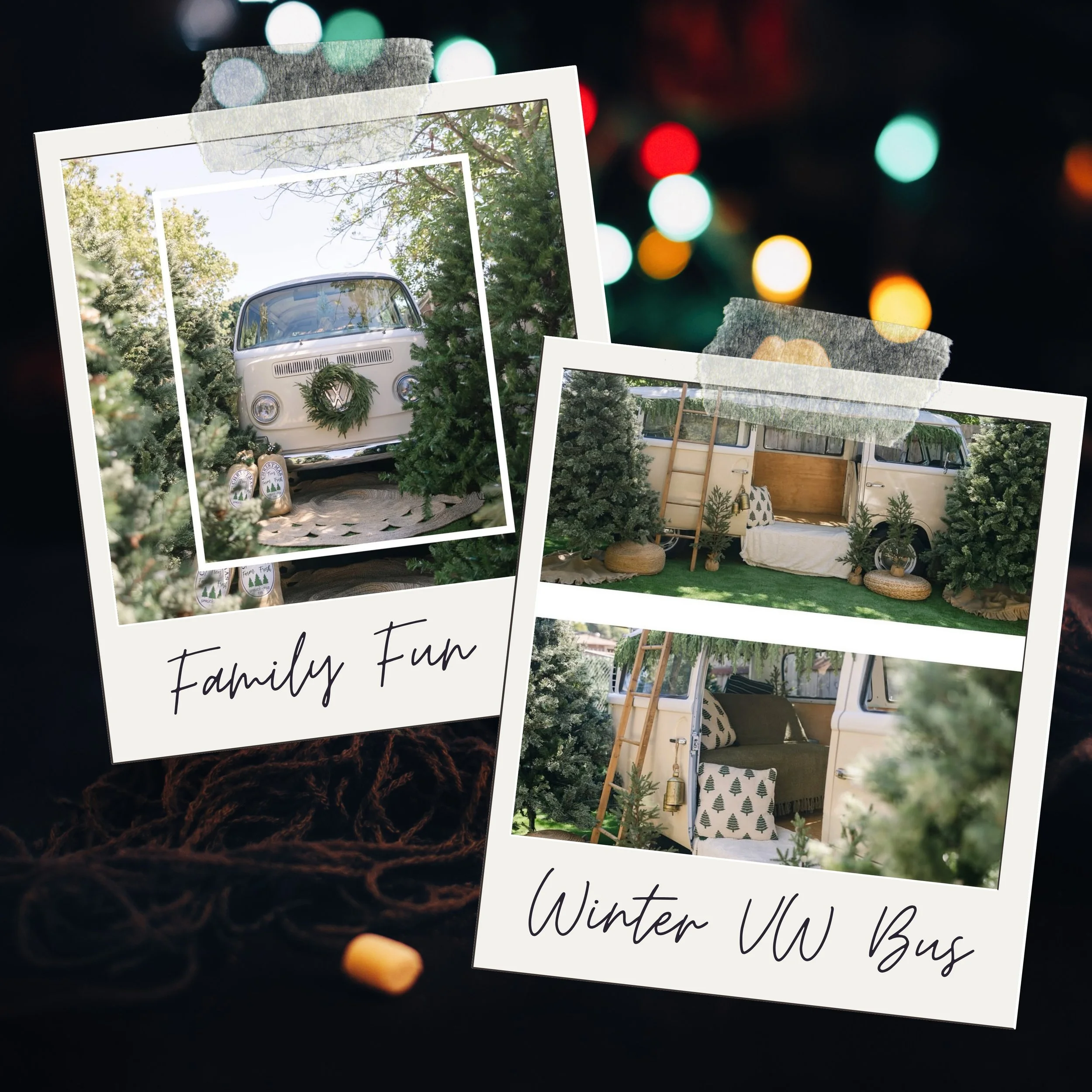 2025 SAN DIEGO WINTER &amp; CHRISTMAS PHOTO SESSIONS