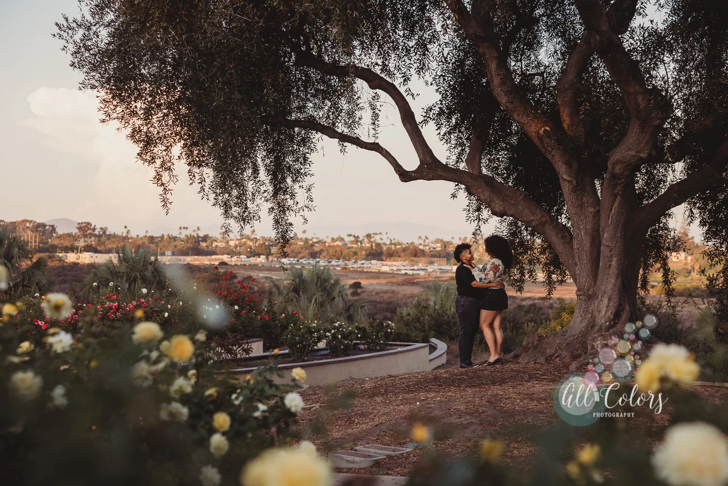 Rose Garden in San Diego with a couple under the big tree