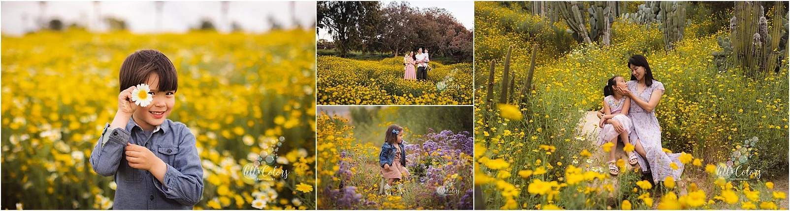 collage of 4 photos of people in wildflower fields