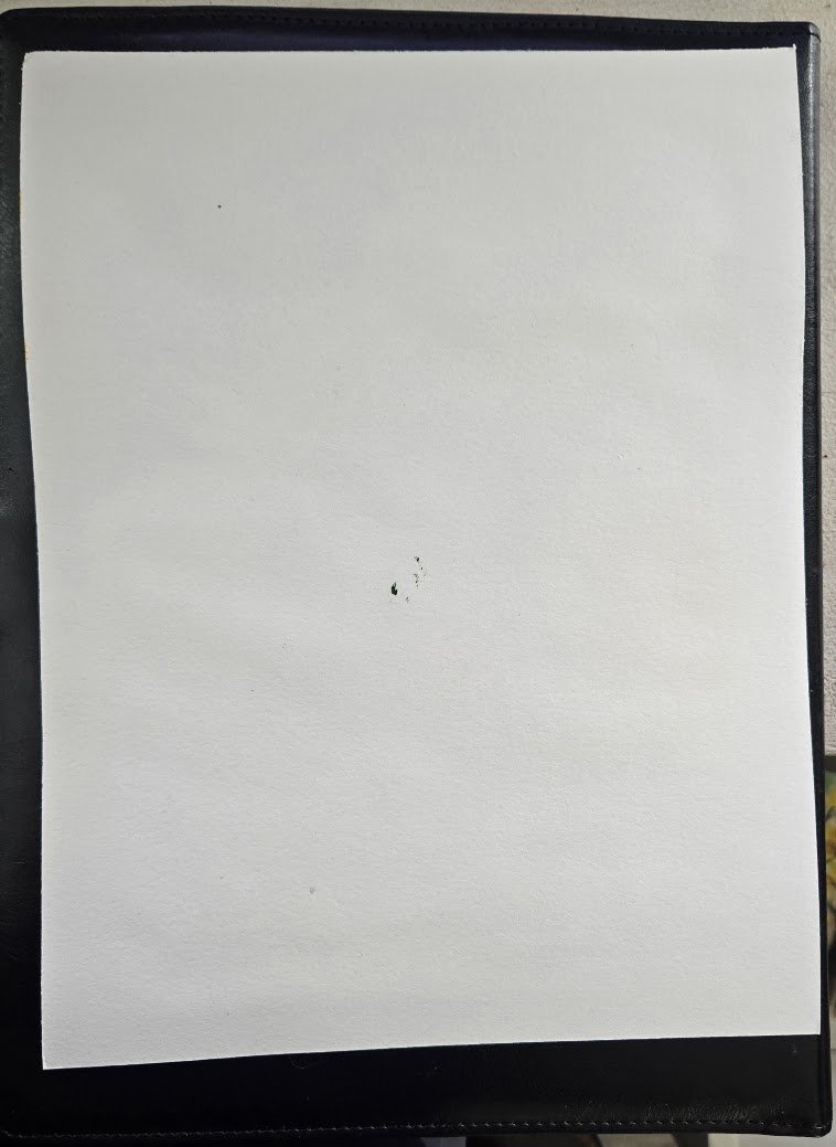 20260814_125253.jpg